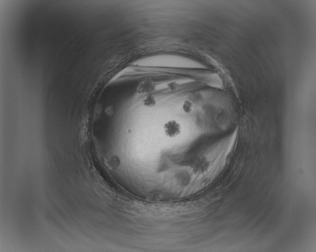 X0000073830018200608241002