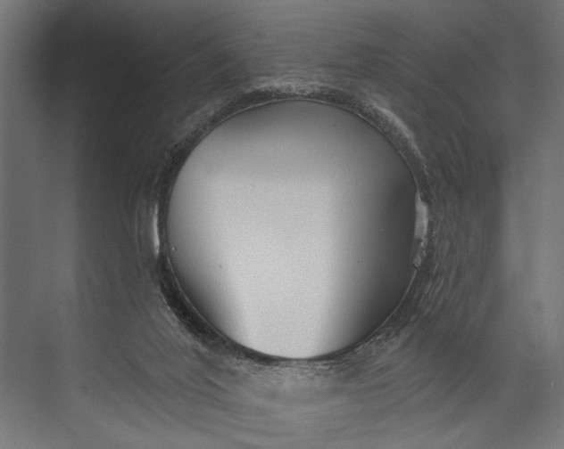 X0000073830020200608241002