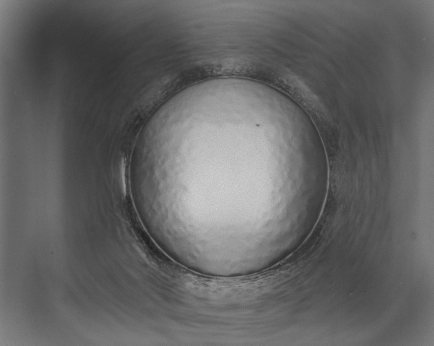 X0000073830022200608241002