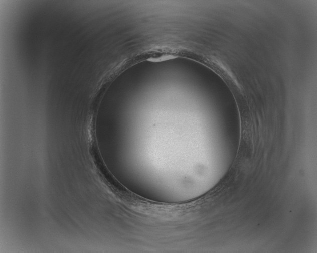 X0000073830023200608241002