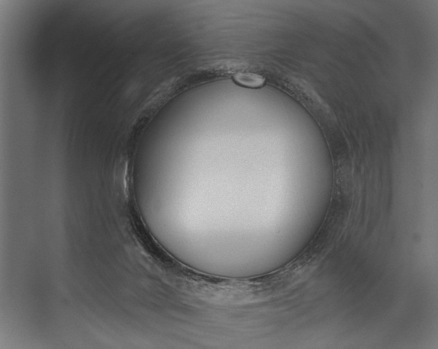 X0000073830024200608241002