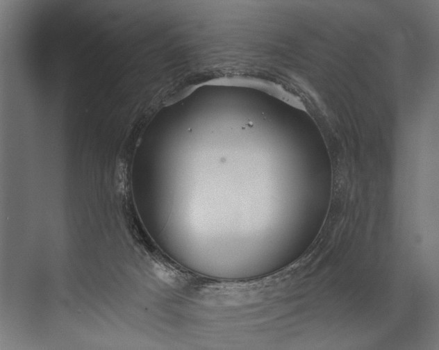 X0000073830025200608241002