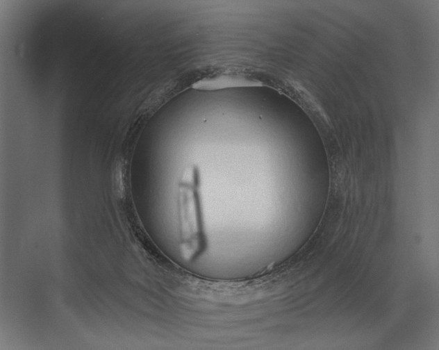 X0000073830026200608241002