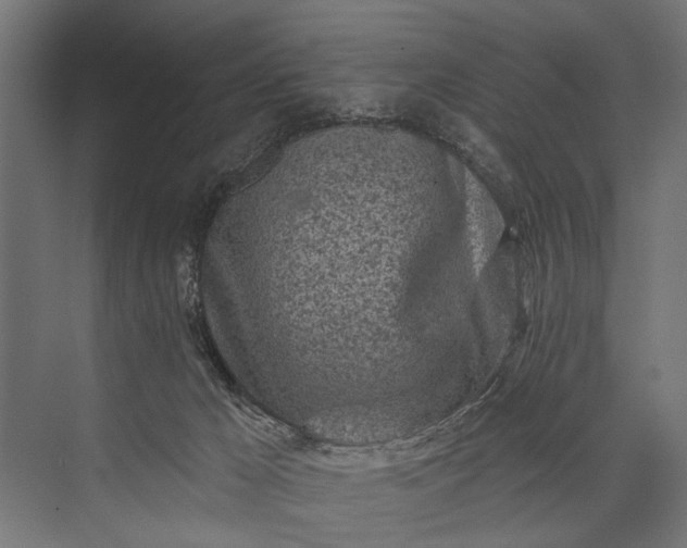 X0000073830029200608241002