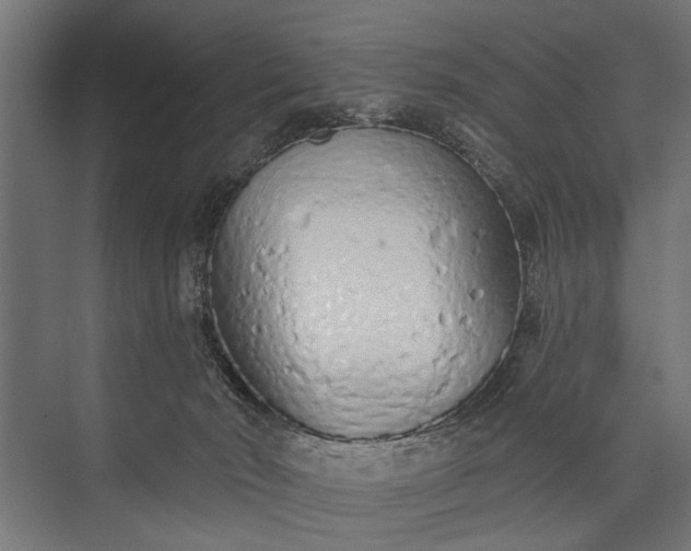 X0000073830030200608241002