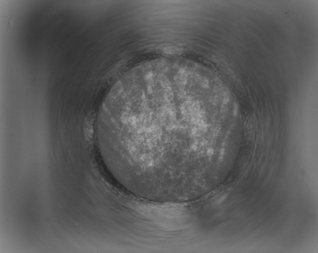 X0000073830032200608241002