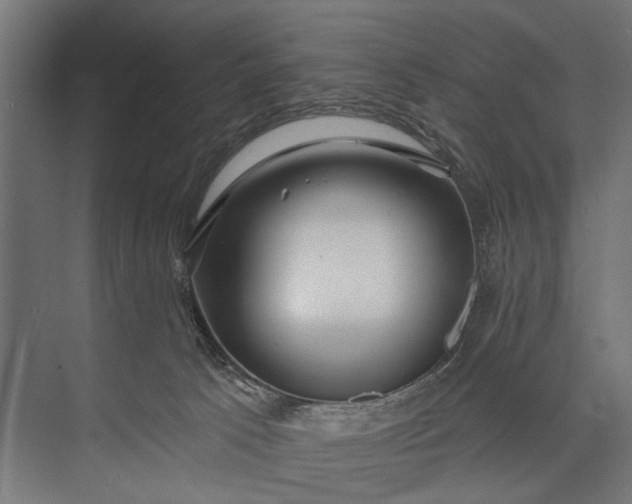 X0000073830033200608241002