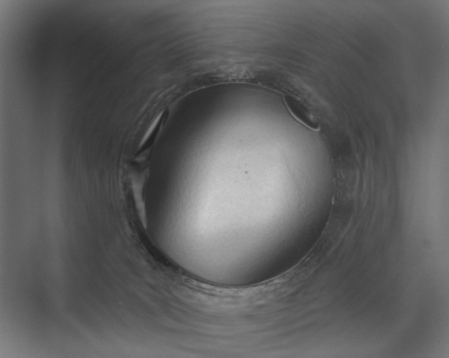 X0000073830035200608241002