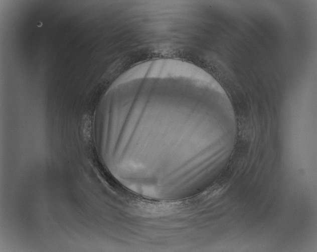 X0000073830036200608241002