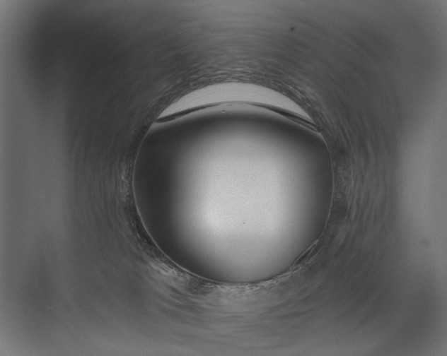 X0000073830037200608241002