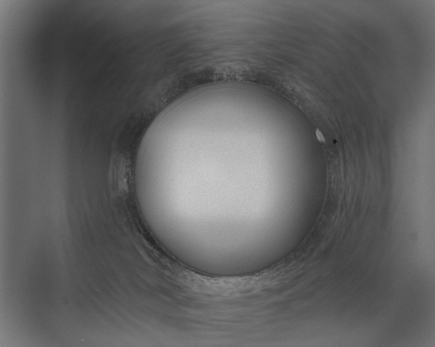 X0000073830038200608241002