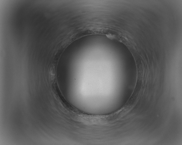 X0000073830040200608241002