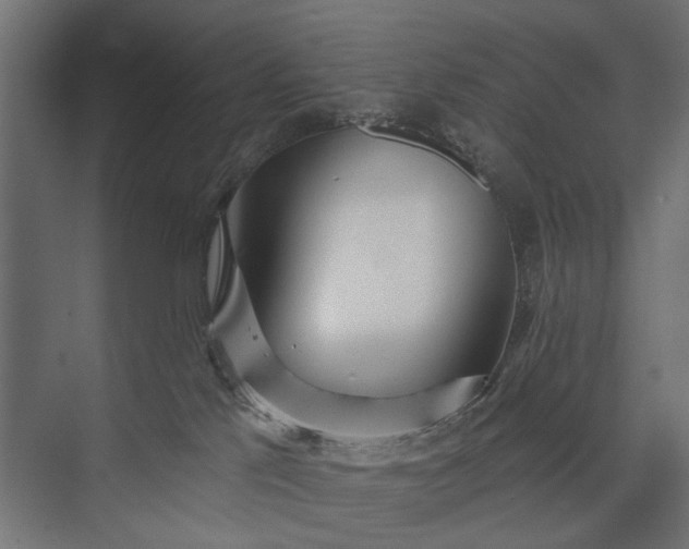 X0000073830041200608241002