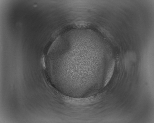 X0000073830042200608241002