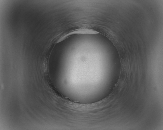 X0000073830043200608241002