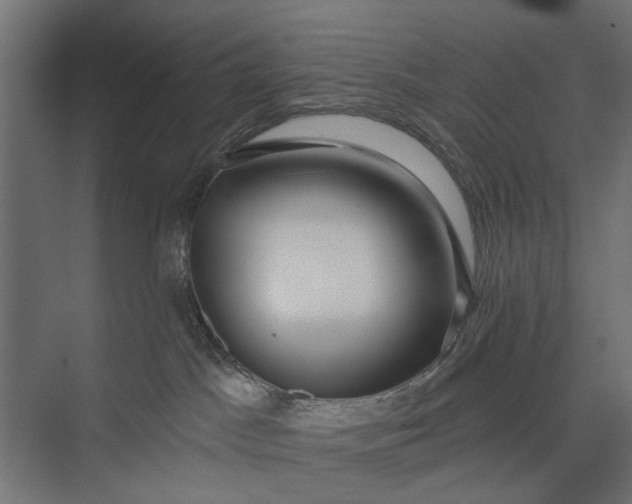 X0000073830045200608241002