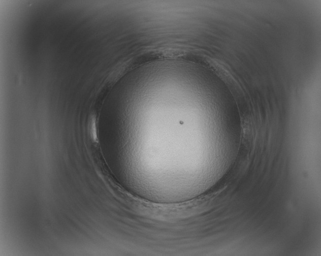 X0000073830046200608241002