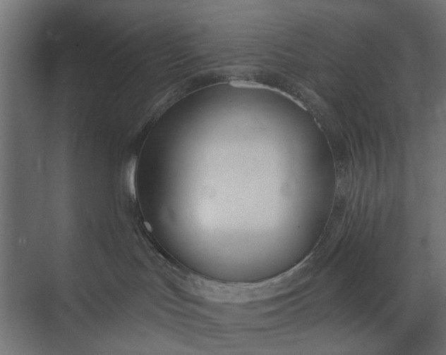 X0000073830047200608241002