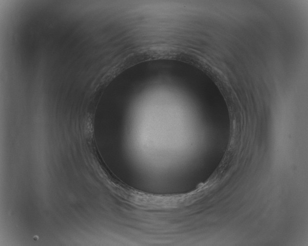 X0000073830048200608241002