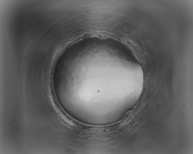 X0000073830049200608241001