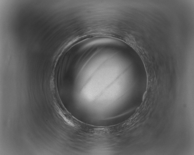 X0000073830050200608241001