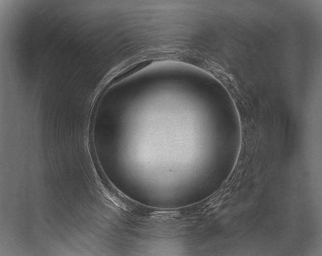 X0000073830051200608241001