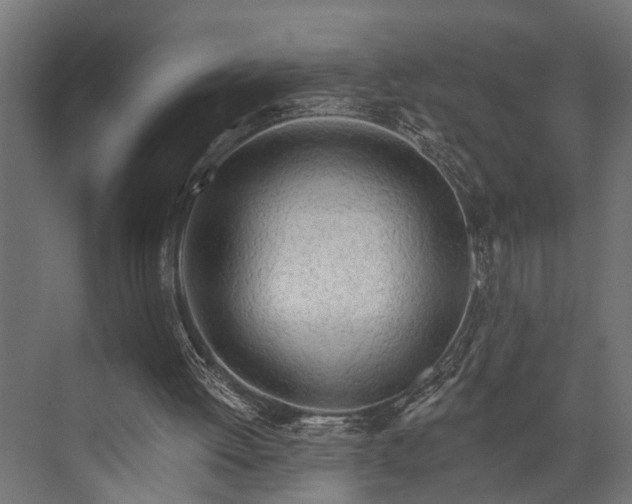 X0000073830052200608241001