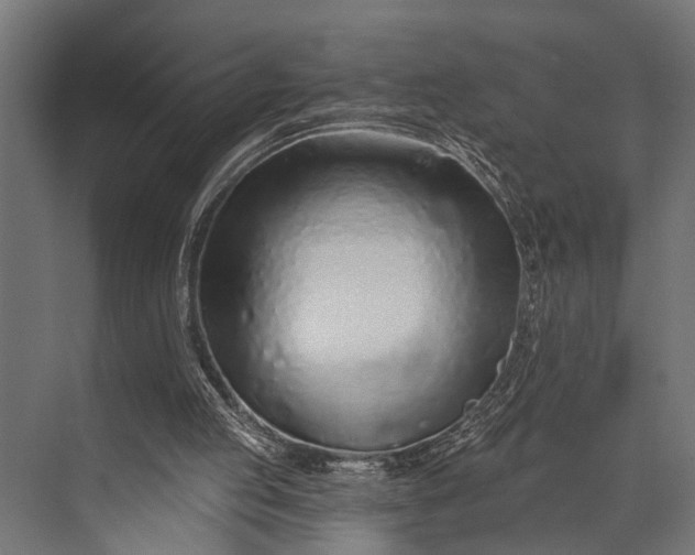 X0000073830053200608241001