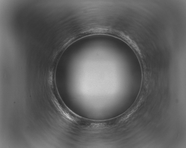 X0000073830057200608241001