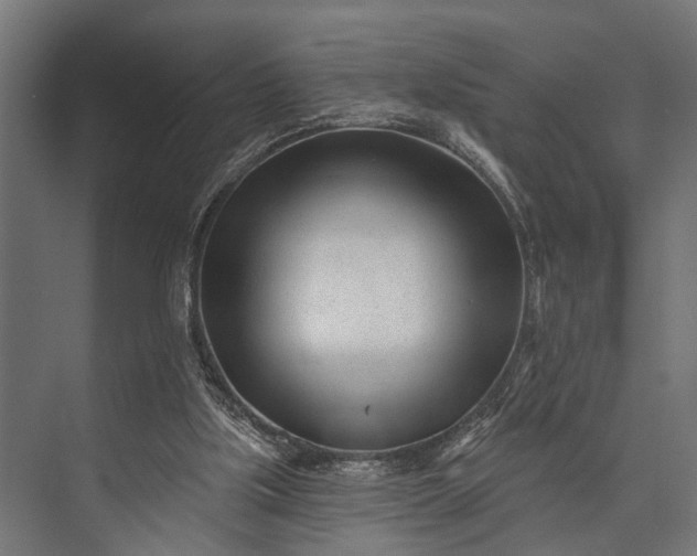 X0000073830059200608241001