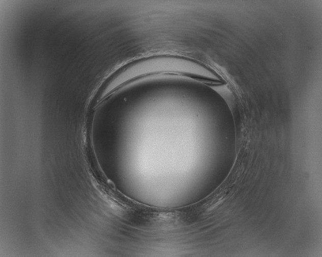 X0000073830060200608241001