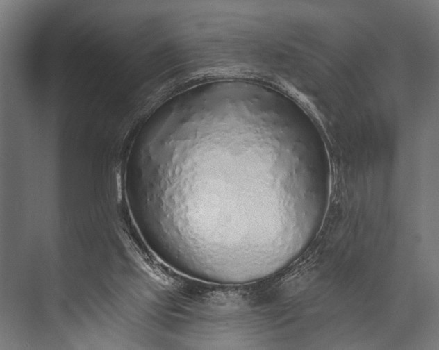 X0000073830061200608241001