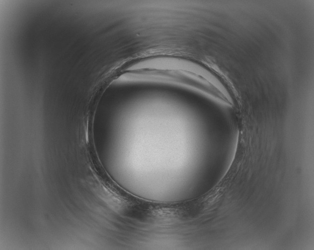 X0000073830062200608241001