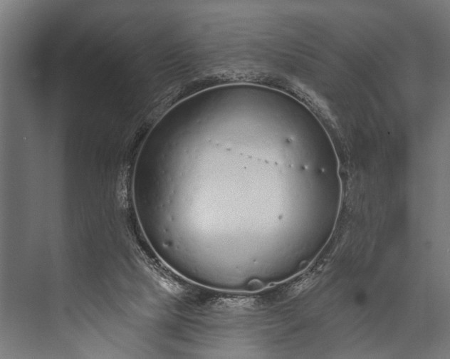 X0000073830065200608241001