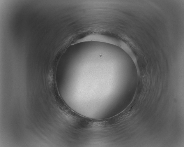 X0000073830072200608241001