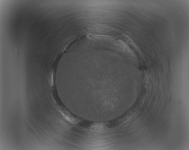 X0000073830076200608241002