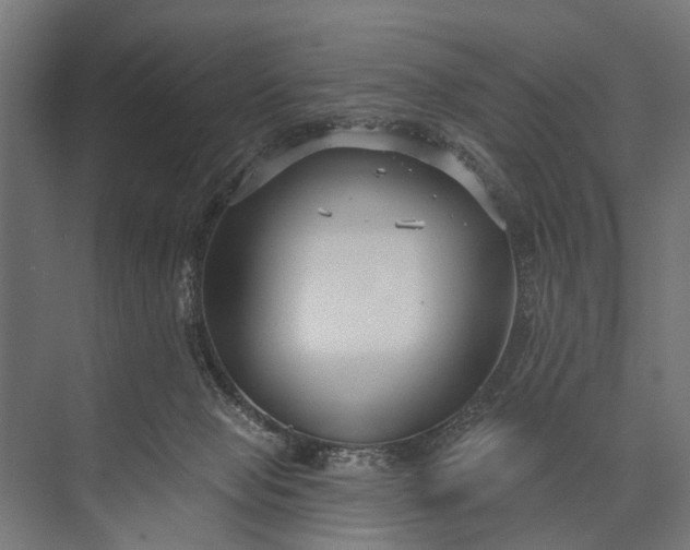 X0000073830077200608241002