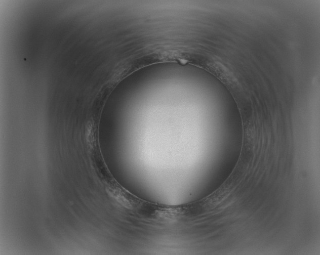 X0000073830079200608241002