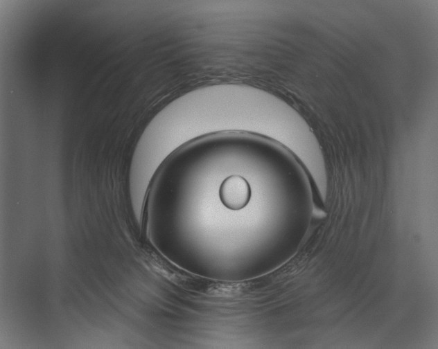 X0000073830084200608241002