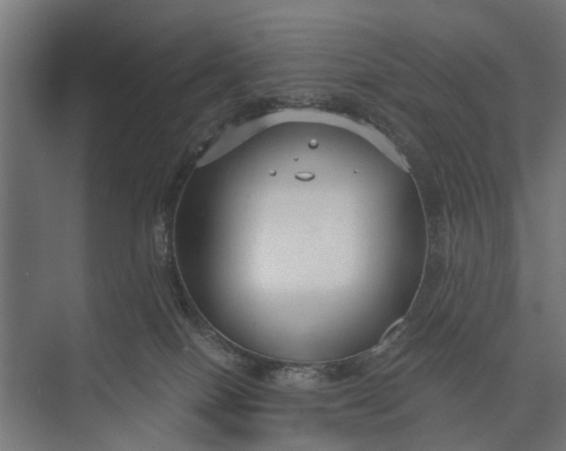 X0000073830086200608241002