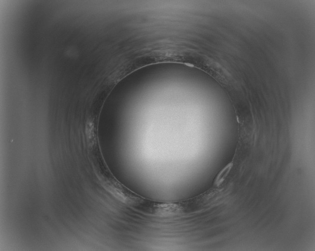 X0000073830087200608241002