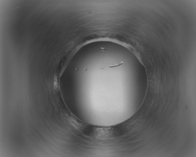 X0000073830089200608241002