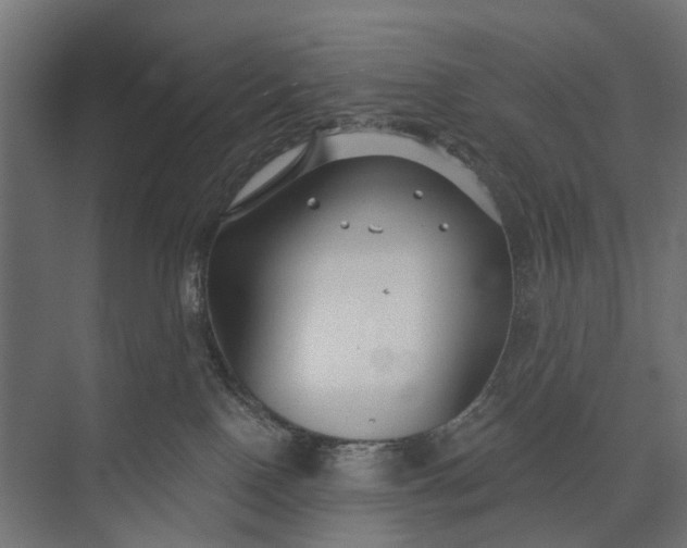 X0000073830090200608241002