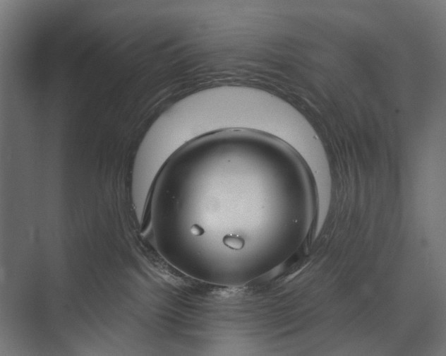 X0000073830092200608241002