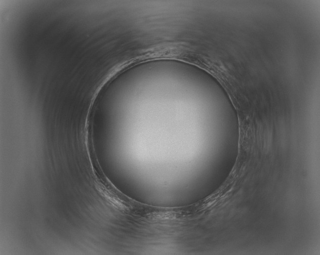 X0000073830100200608241001