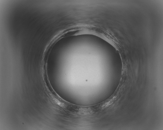 X0000073830101200608241001