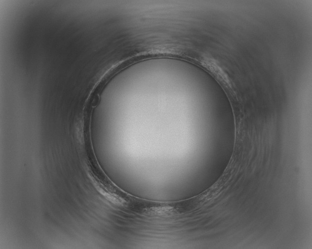 X0000073830108200608241001