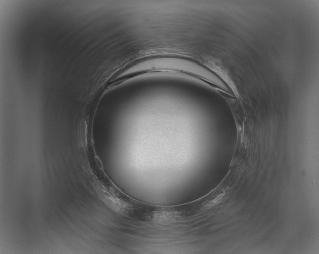 X0000073830109200608241001