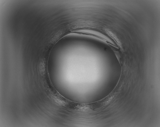 X0000073830113200608241001