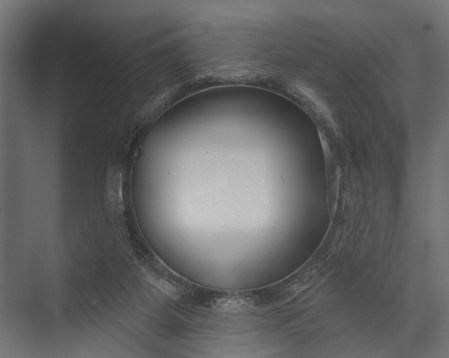 X0000073830115200608241001